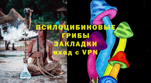 гидра Слюдянка