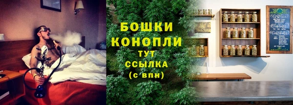 метадон Горняк