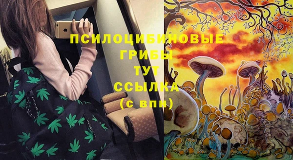 MESCALINE Горно-Алтайск
