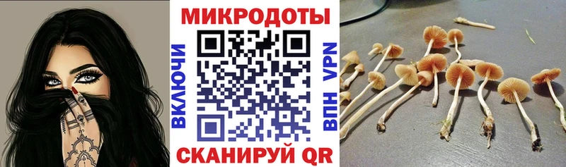 купить  цена  Меленки  Галлюциногенные грибы Cubensis 